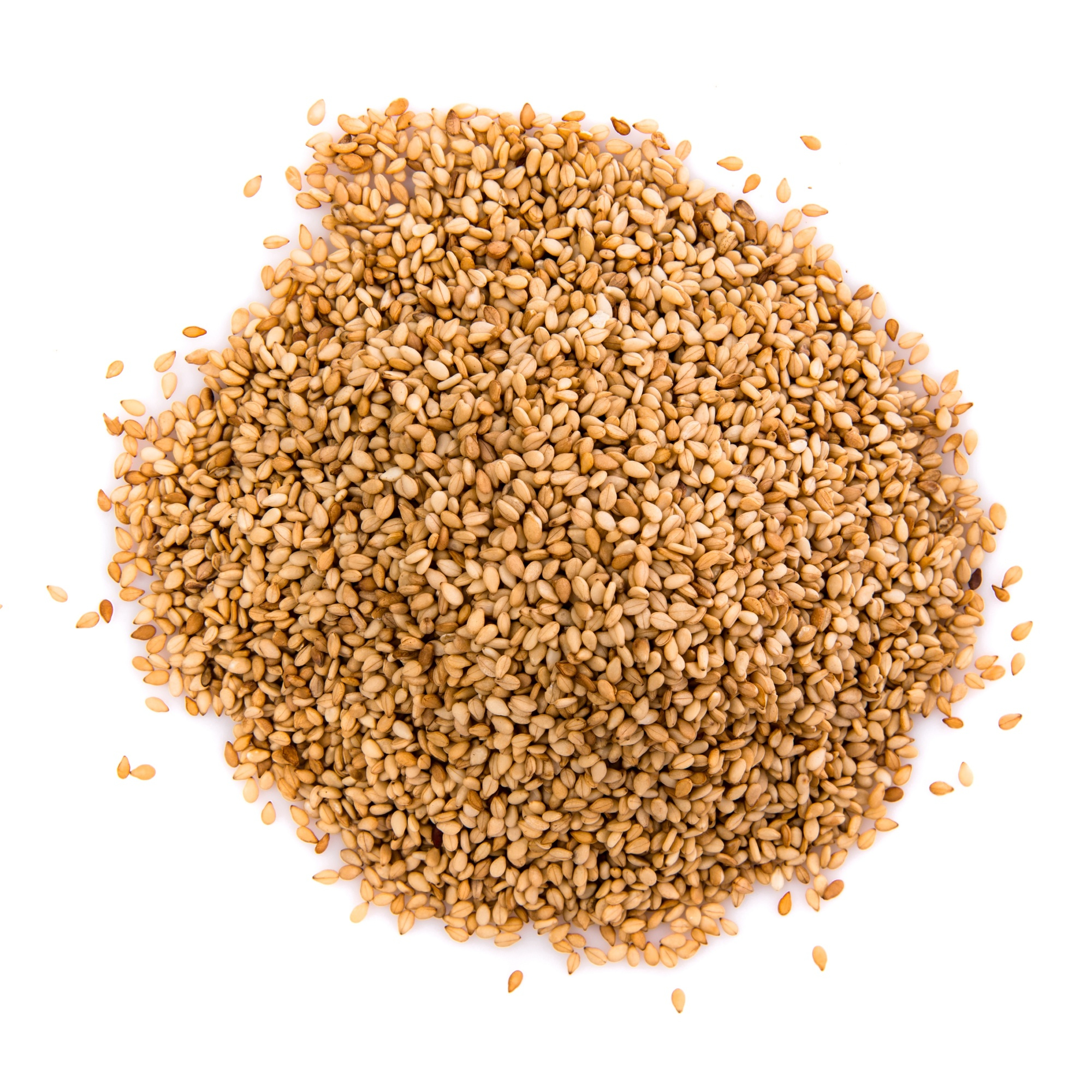 Sesame (Oil Seed)