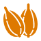 Cardamom
