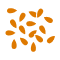 Sesame (Oil Seed)